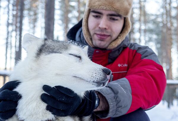 Hướng dẫn viên và chó Husky trong tổ hợp du lịch Công viên Karjala ở Karelia - Sputnik Việt Nam