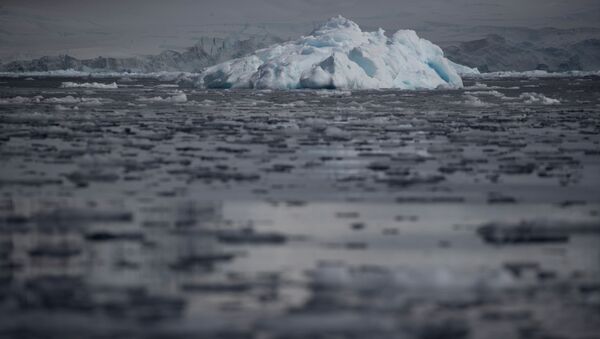 Những mảng băng trôi trong nước biển gần vịnh Fournier, Nam Cực - Sputnik Việt Nam