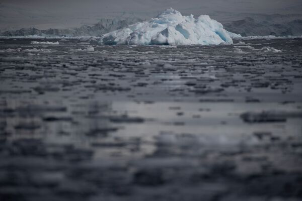 Những mảng băng trôi trong nước biển gần vịnh Fournier, Nam Cực - Sputnik Việt Nam