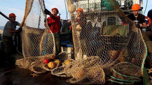 Ảnh lưu trữ của câu cá - Sputnik Việt Nam