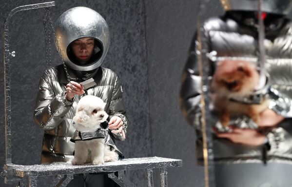 Những người mẫu và đàn chó trình bày bộ sưu tập Moncler tại Tuần lễ thời trang Milan - Sputnik Việt Nam