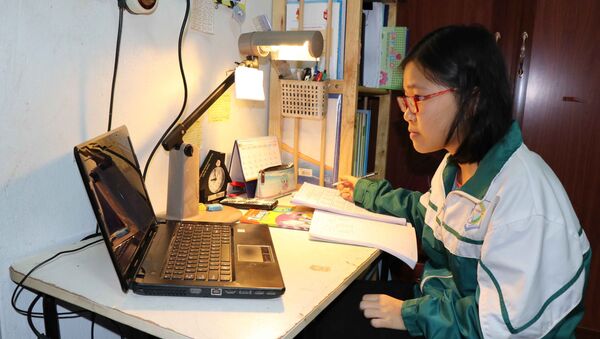 Học sinh thành phố Bắc Ninh chủ động ôn tập các kiến thức thông qua bài giảng trực tuyến.  - Sputnik Việt Nam