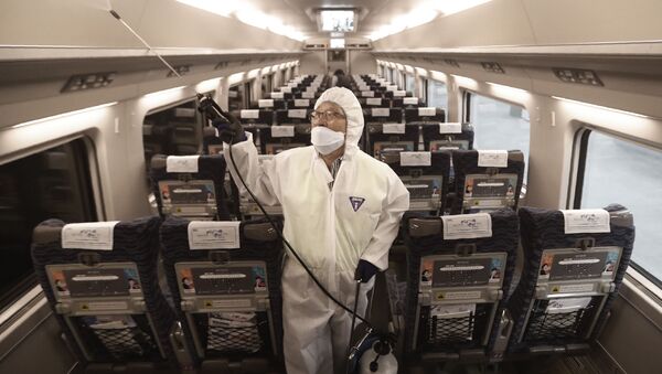 Распыление дезинфицирующих средств в поезде на станции в Сеуле в качестве меры предосторожности против нового коронавируса, Южная Корея - Sputnik Việt Nam