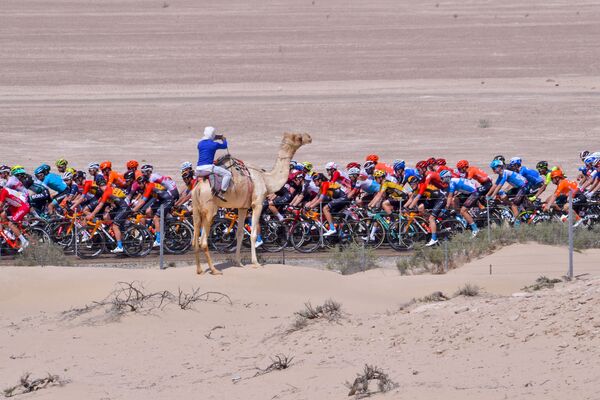 Những người tham gia cuộc đua xe đạp Tour UAE - Sputnik Việt Nam