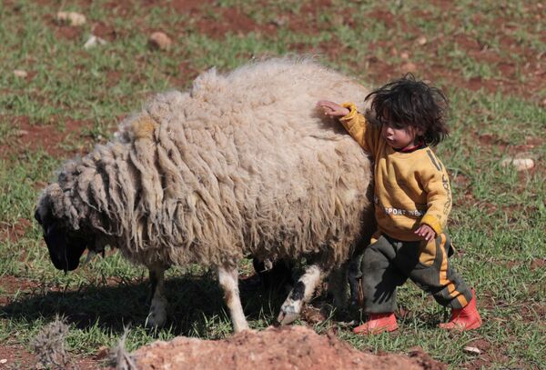Em bé tị nạn Syria chơi với con cừu - Sputnik Việt Nam