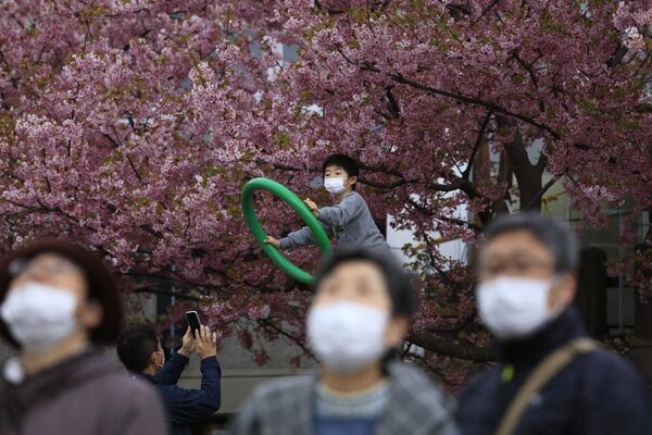 Người dân đeo khẩu trang tại Lễ hội Hoa anh đào ở Nhật Bản - Sputnik Việt Nam