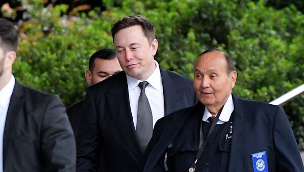 Tesla CEO Elon Musk - Sputnik Việt Nam