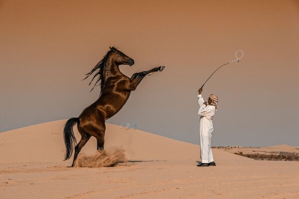 Bức ảnh Ngựa phi của nhiếp ảnh gia Ả Rập Saudi Abbas Alkhamis, đoạt giải National Awards (Ả Rập Saudi) của cuộc thi 2020 Sony World Photography Awards - Sputnik Việt Nam