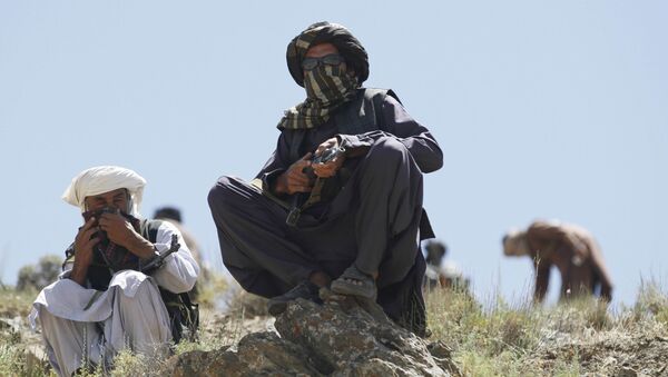 Taliban Afghanistan với vũ khí - Sputnik Việt Nam