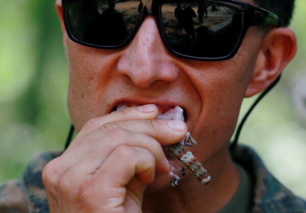 Một người lính ăn thịt tắc kè trong cuộc tập trận Cobra Gold ở Thái Lan - Sputnik Việt Nam