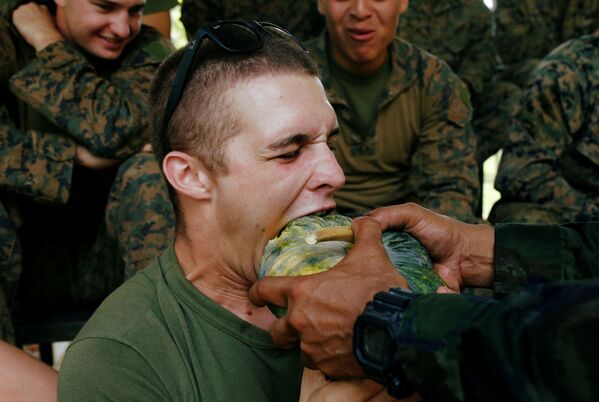 Người lính ăn bí ngô trong thời gian tập trận  Cobra Gold ở Thái Lan - Sputnik Việt Nam