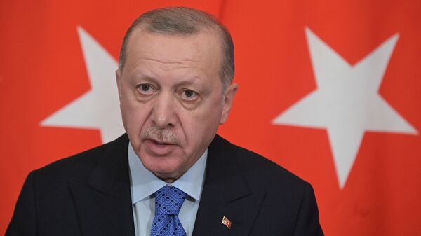 Tổng thống Thổ Nhĩ Kỳ Recep Tayyip Erdogan tại Điện Kremlin, Matxcơva  - Sputnik Việt Nam