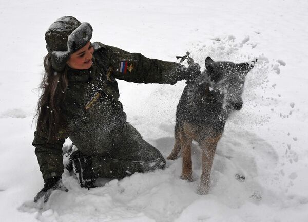 Quân nhân với một chú chó trong vòng đầu tiên của cuộc thi giữa những người điều khiển chó quân đội Liên bang Nga Người bạn trung thành - Sputnik Việt Nam