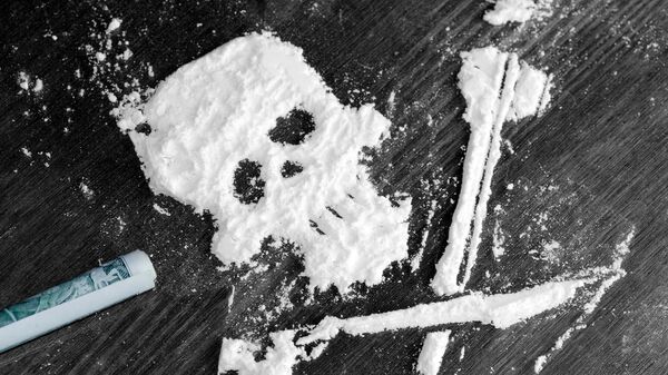 Phương tiện: Hơn 1,5 tấn cocaine dạt vào bãi biển Pháp - Sputnik Việt Nam