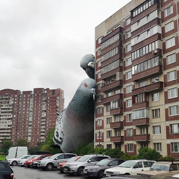 Chim bồ câu khổng lồ bên tòa chung cư ở St. Petersburg trong tác phẩm của họa sĩ Vadim Solovyov - Sputnik Việt Nam