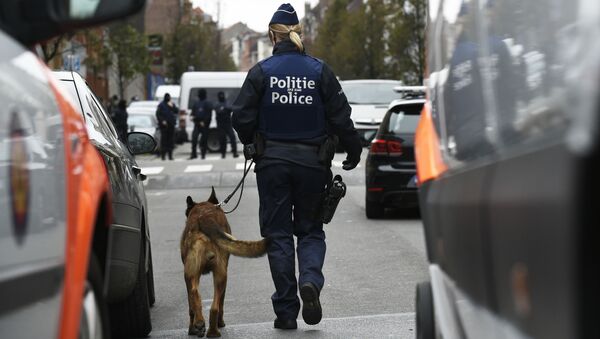 Cảnh sát Bỉ trên đường phố Brussels trong cuộc truy lùng đối tượng liên quan đến những vụ khủng bố ở Paris - Sputnik Việt Nam