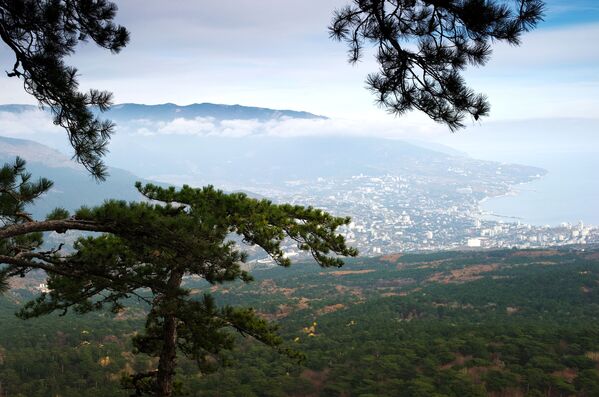 Cảnh núi và Yalta từ đường lên dãy Ai-Petri ở Crưm - Sputnik Việt Nam
