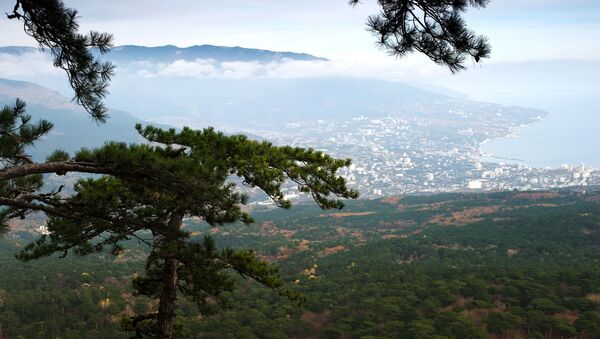 Cảnh núi và Yalta từ đường lên dãy Ai-Petri ở Crưm - Sputnik Việt Nam
