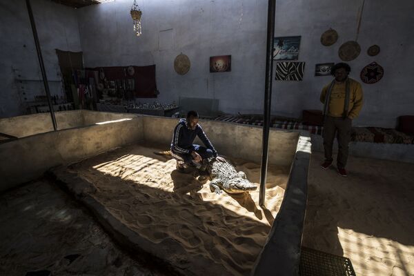 Màn trình diễn cá sấu cho du khách đến thăm làng Nubia ở Ai Cập - Sputnik Việt Nam