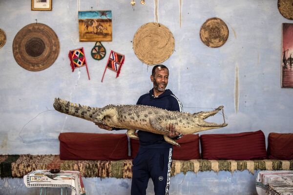 Xác ướp cá sấu ở làng Nubia, Ai Cập - Sputnik Việt Nam