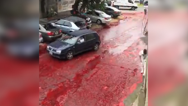 Nửa triệu lít máu tràn ra đường ở một thành phố của Argentina. - Sputnik Việt Nam