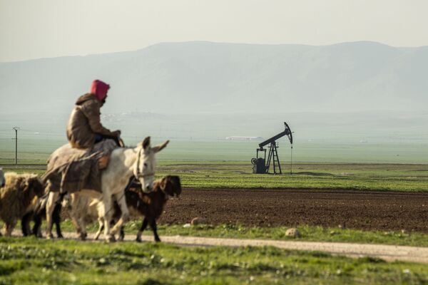 Người chăn cừu cưỡi con lừa đi qua mỏ dầu Syria trên  biên giới với Thổ Nhĩ Kỳ - Sputnik Việt Nam