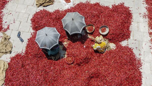 Phơi ớt ở Bangladesh - Sputnik Việt Nam