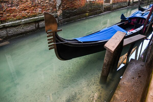 Nước trong vắt trong kênh đào Venice trong bối cảnh khủng hoảng du lịch do coronavirus - Sputnik Việt Nam