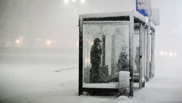 Mọi người chờ xe tại bến giao thông công cộng trong trận tuyết rơi ở Podolsk - Sputnik Việt Nam