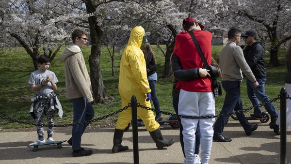 Người đàn ông trong bộ đồ bảo vệ màu vàng giữa mùa hoa anh đào ở Washington - Sputnik Việt Nam