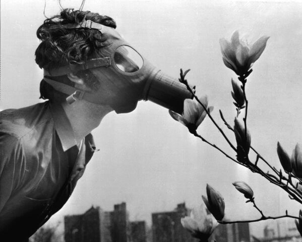 Sinh viên đeo mặt nạ khí ngửi bông hoa trong cuộc tuần hành Ngày Trái đất, Hoa Kỳ, năm 1970 - Sputnik Việt Nam