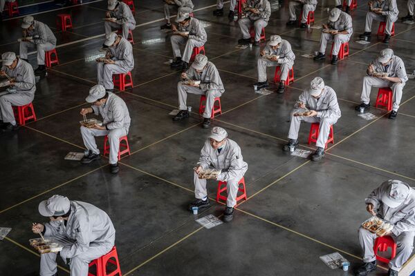 Công nhân trong giờ nghỉ trưa tại nhà máy ô tô Dongfeng Honda ở Vũ Hán, Trung Quốc - Sputnik Việt Nam