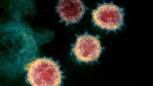 Coronavirus dưới kính hiển vi - Sputnik Việt Nam