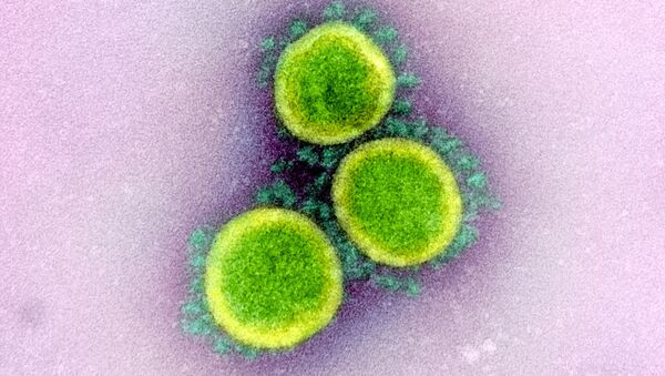 Ảnh vi mô phân tử coronavirus trong tế bào của người bị lây nhiễm  - Sputnik Việt Nam