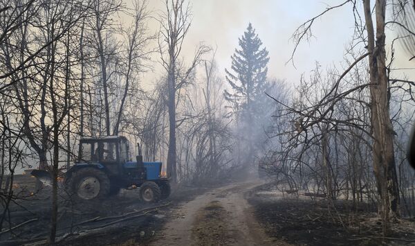 Cháy rừng ở khu vực Chernobyl - Sputnik Việt Nam