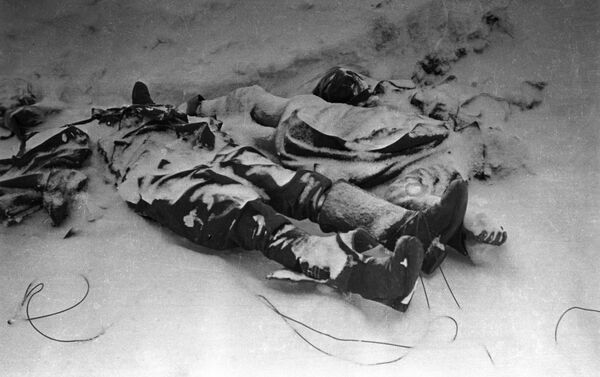 Người thiệt mạng trên chiến địa ngoại vi Stalingrad - Sputnik Việt Nam