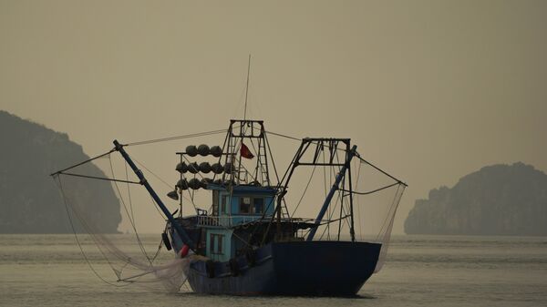 Рыбацкая лодка в заливе Халонг во Вьетнаме - Sputnik Việt Nam