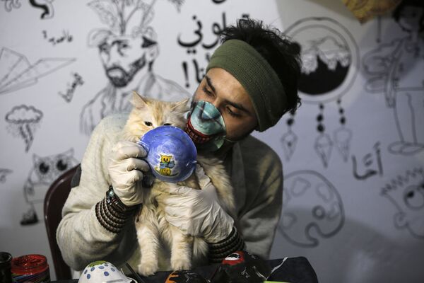 Nghệ sĩ với con mèo đeo khẩu trang ở Gaza - Sputnik Việt Nam