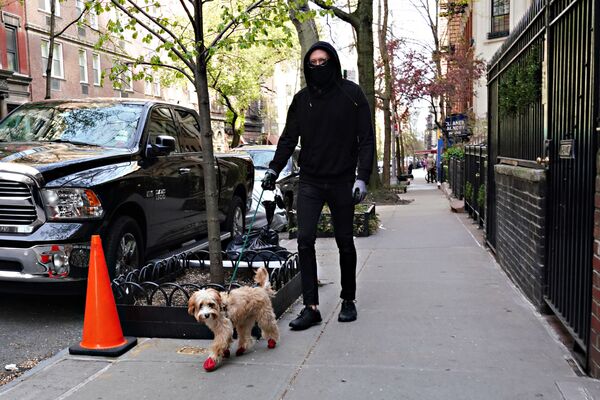 Người đàn ông đeo khẩu trang với con chó ở New York - Sputnik Việt Nam