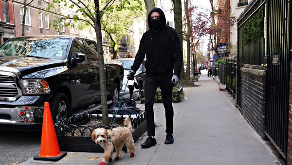 Người đàn ông đeo khẩu trang với con chó ở New York - Sputnik Việt Nam