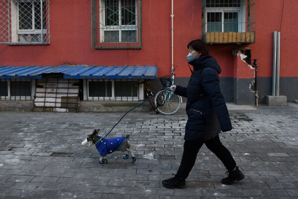 Cô gái với con chó đeo khẩu trang ở Bắc Kinh - Sputnik Việt Nam