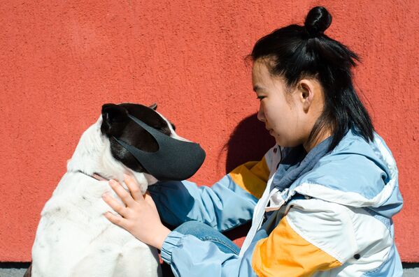 Cô gái với con chó đeo khẩu trang trong đại dịch coronavirus - Sputnik Việt Nam