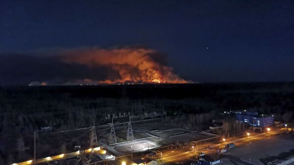 Hỏa hoạn trong khu vực cấm gần Chernobyl - Sputnik Việt Nam
