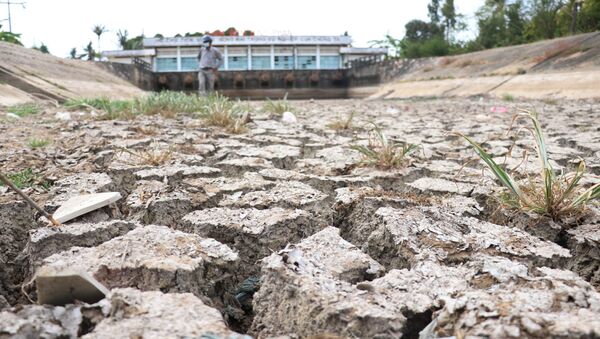 Lòng kênh trạm bơm Bình Phan (Tiền Giang) đã cạn khô, nứt nẻ do không lấy được nước ngọt - Sputnik Việt Nam