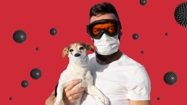 Người đàn ông đeo mặt nạ bảo vệ và đeo kính với một con chó trong mặt nạ y tế - Sputnik Việt Nam