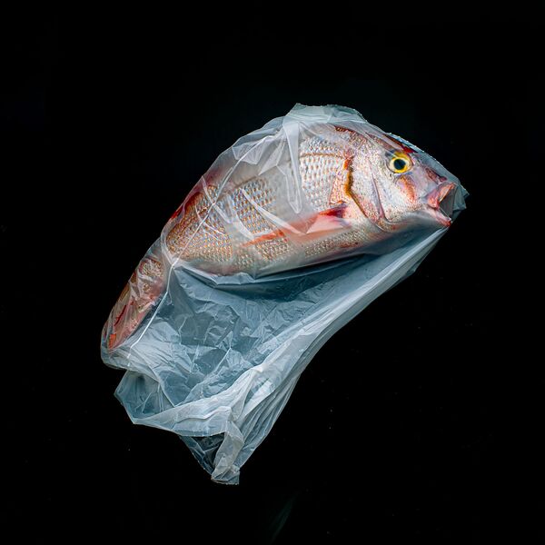 Ảnh Đại dương nhựa của nhiếp ảnh gia  Argentina Jorge Reynal, người chiến thắng hạng mục Cuộc sống hàng ngày tại Sony World Photography Awards 2020 - Sputnik Việt Nam