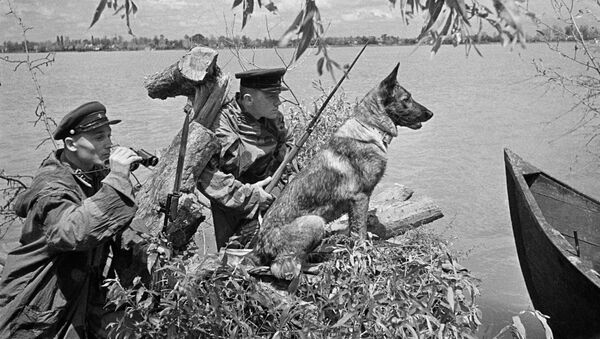 Bộ đội biên phòng quan sát tại khu vực làng Vilkovo, đồng bằng sông Danube - Sputnik Việt Nam
