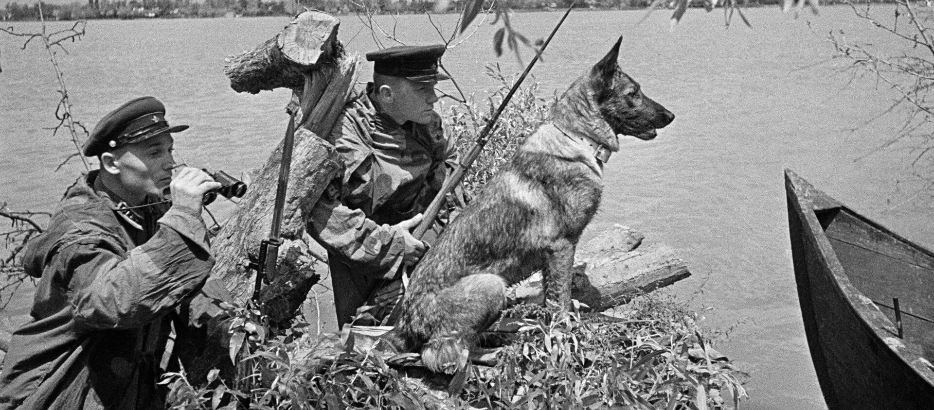 Bộ đội biên phòng quan sát tại khu vực làng Vilkovo, đồng bằng sông Danube - Sputnik Việt Nam, 1920, 24.06.2020