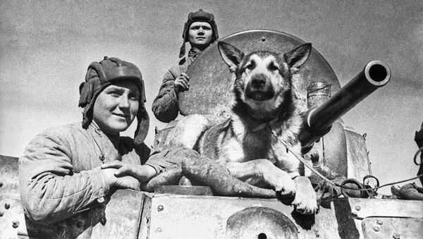 Tổ lái xe bọc thép Liên Xô BA-10: Trung sĩ Yevgeny Petrovich Endrekson, Trung sĩ Vladimir Polikarpovich Porshakov và chó béc-giê Dzhulbars. Mặt trận phía Nam - Sputnik Việt Nam