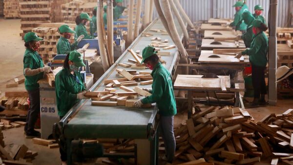 Chế biến gỗ trong Khu công nghiệp Cam Thành, huyện Cam Lộ - Sputnik Việt Nam